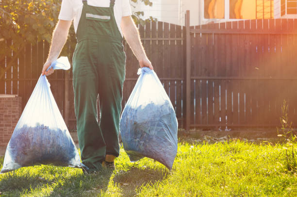 Best Dumpster Rental Services  in Arvada, CO